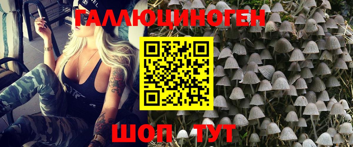 Псилоцибиновые грибы Cubensis Луховицы