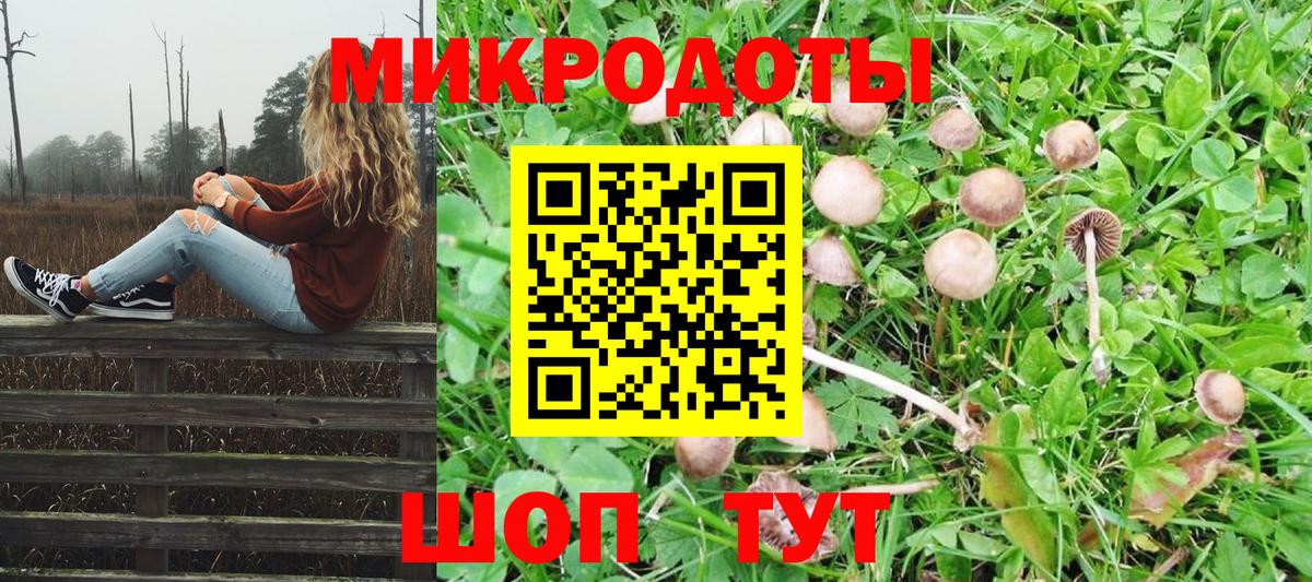 наркошоп  Галлюциногенные грибы Psilocybe  Вход с VPN  Луховицы 